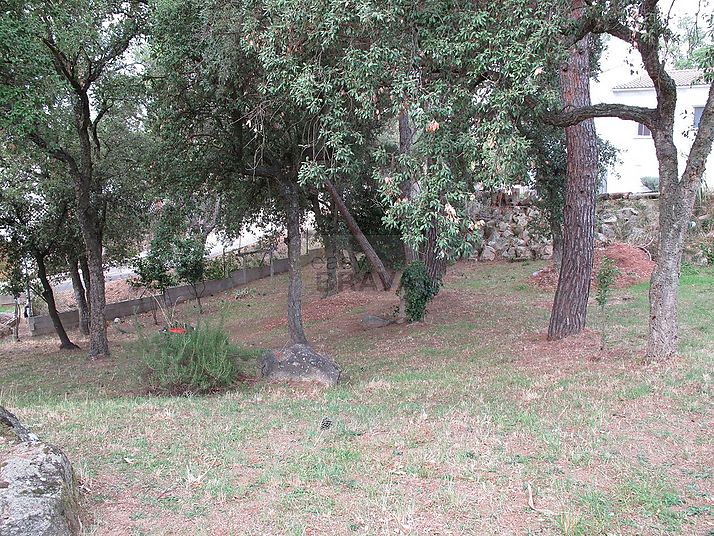 Terreny a Sta Cristina de Aro 