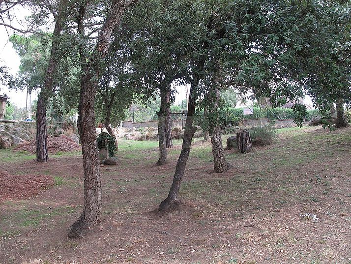 Terreny a Sta Cristina de Aro 