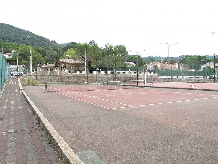 Plot of tennis