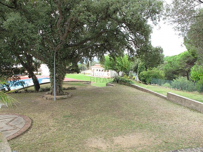 Terreny a Santa Cristina d´aro.