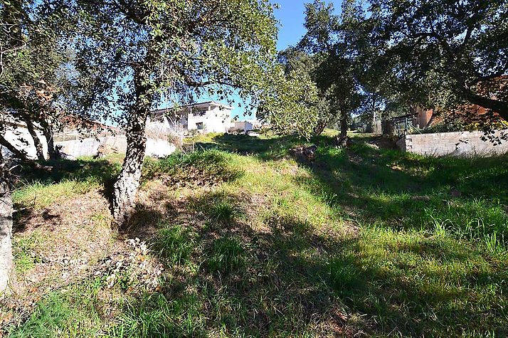 Plot with mountain views and stream with many possibilities