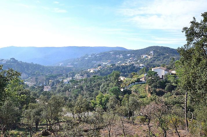 Großes Baugrundstück in Rio de Oro