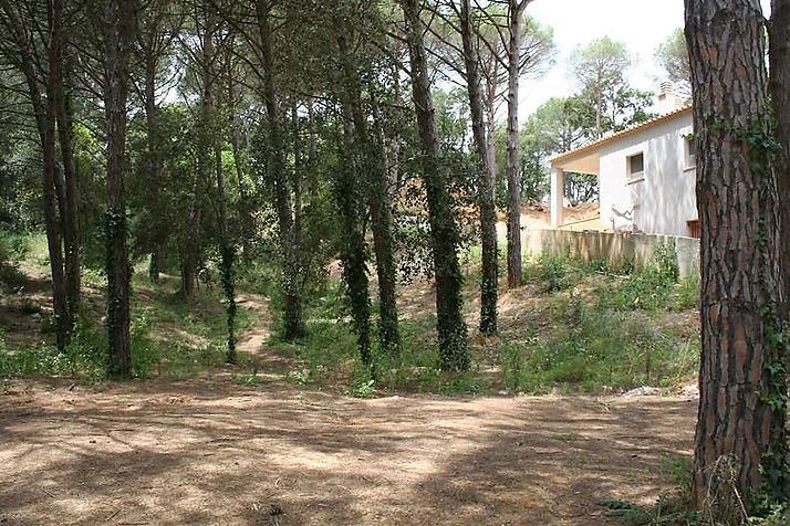 Sold in exclusive land / plot located in polygon II of the urbanization "MAS PERE"