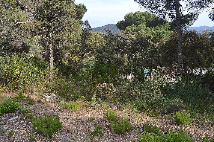 Plot of land located in Roca de Malvet