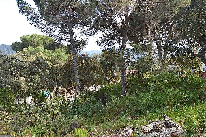 Plot of land located in Roca de Malvet