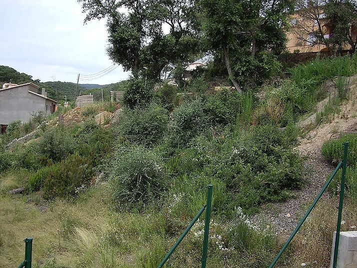 Plot with views of Les Gavarres