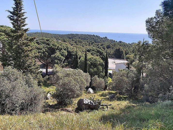 Unique and exclusive front line plots with spectacular sea views in LLançà.