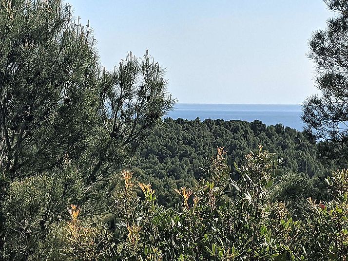 Parcelles uniques et exclusives en première ligne avec des vues spectaculaires sur la mer à LLançà.