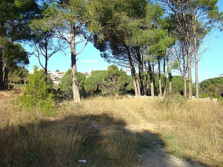 Parcel·la per edificar 32 apartaments