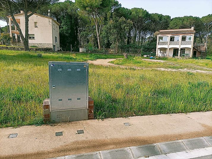 Parcel.la planera a La Canyera