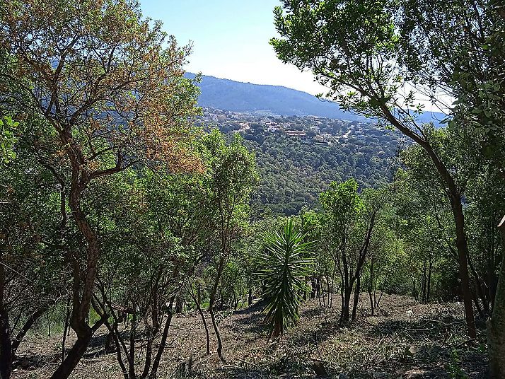 Terrain avec vue latérale sur la mer