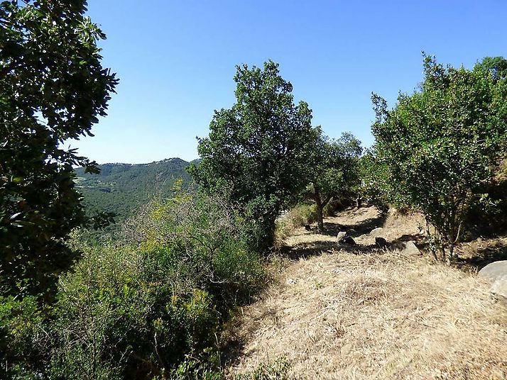 Unas vistas fantásticas en Calonge