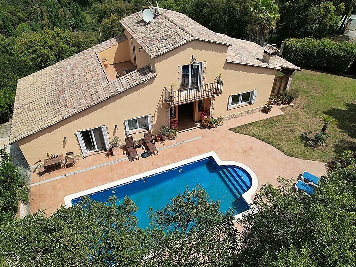 Fantastic spacious house with swimming pool.