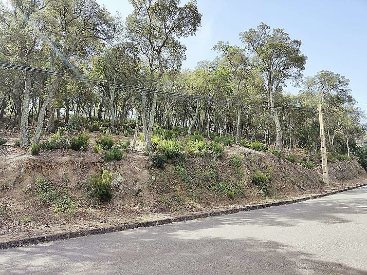 Terreno en Santa Crista d'Aro