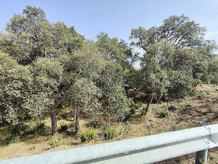 Terreno en Santa Crista d'Aro