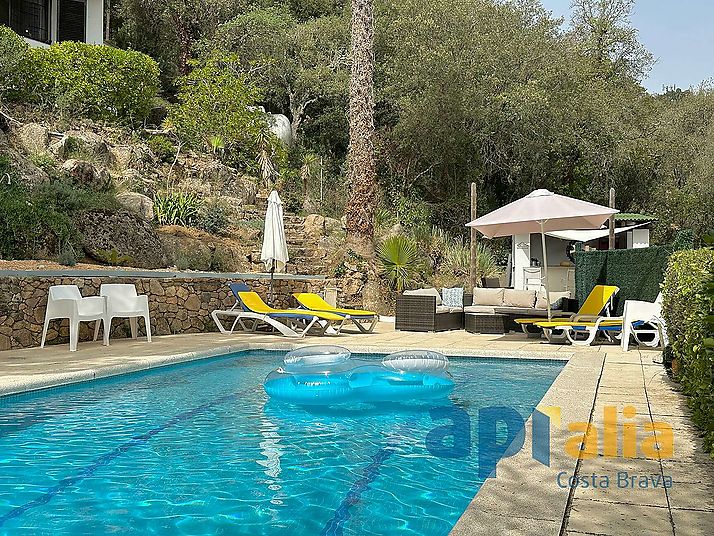 Casa amb piscina i apartament independent